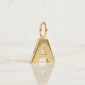 Gold Initial Charm Necklace