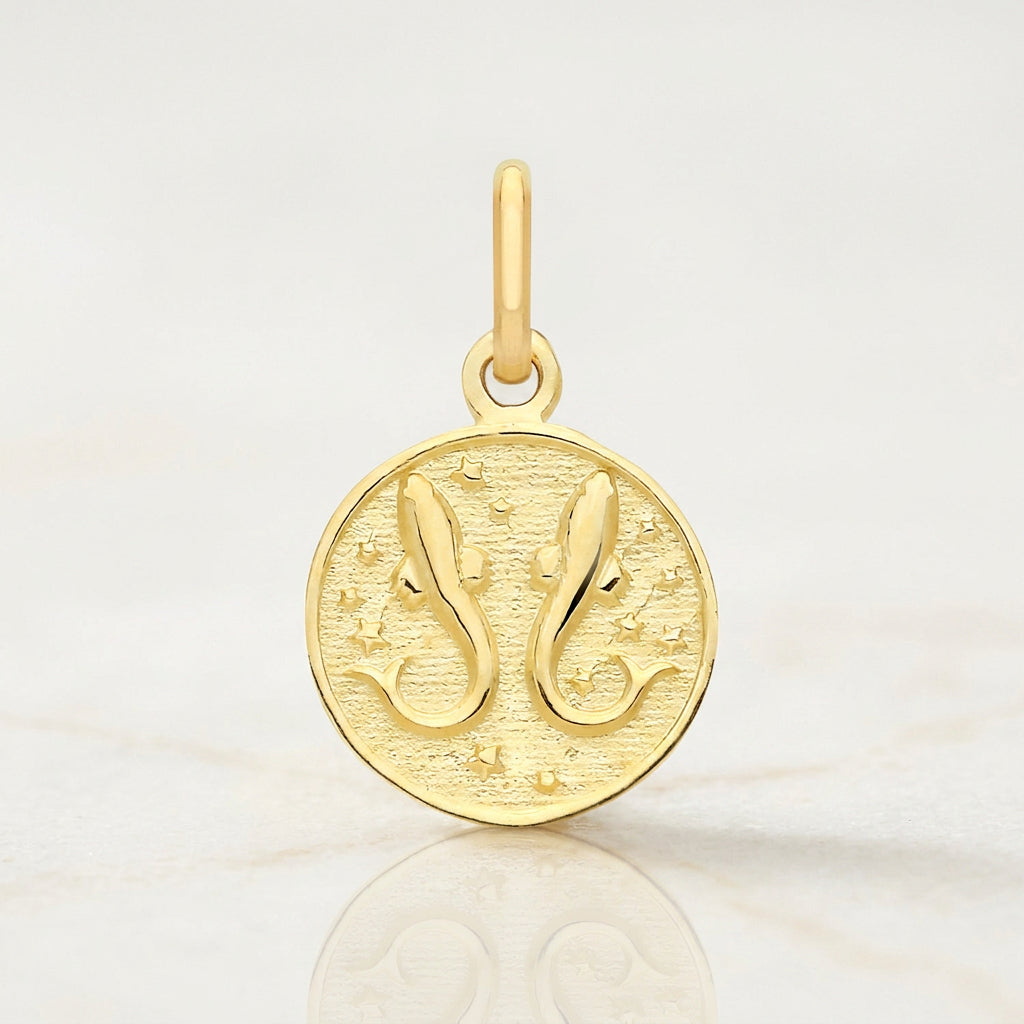 Zodiac Star Sign Gold Coin Pendant Necklace | 9ct Yellow Gold