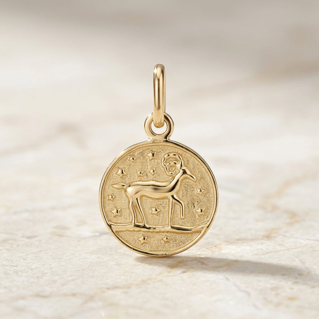 Zodiac Star Sign Gold Coin Pendant Necklace | 9ct Yellow Gold