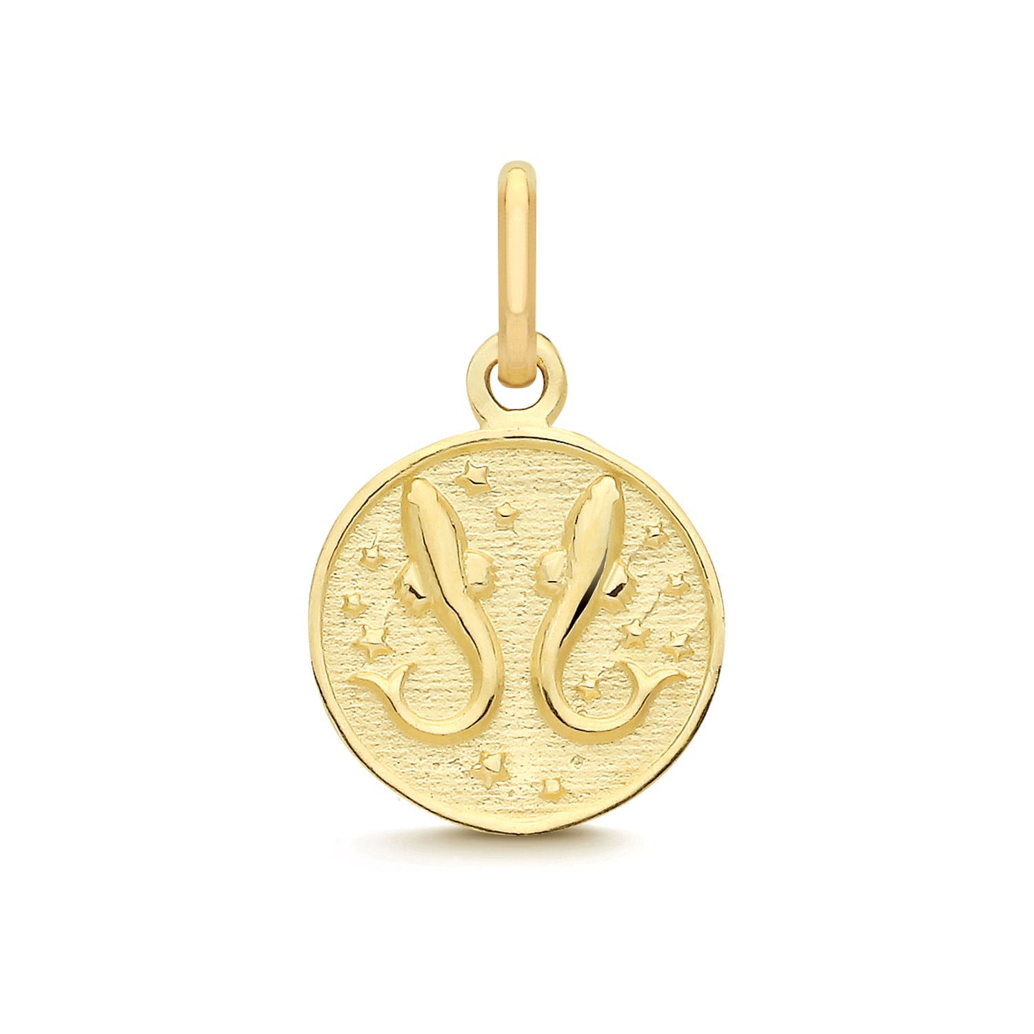 Pisces Zodiac Gold Coin Pendant Necklace 9ct Yellow Gold